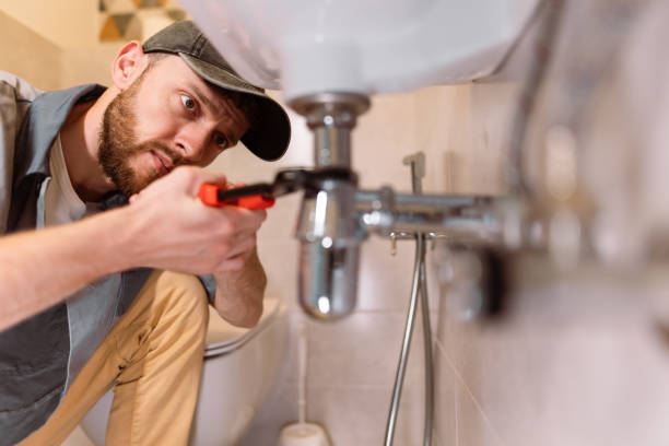 Best Local Plumber Services  in Mills River, NC
