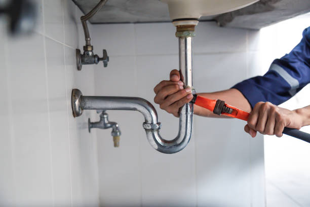 Best Plumbing Inspection Services  in Mills River, NC